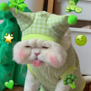 斯米马赛队友酱