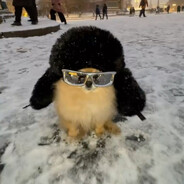 v0r (1sexxyTimoshka)