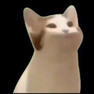 你停止收讯号~~