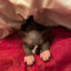misha.krasniy