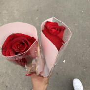 四川最后的处男