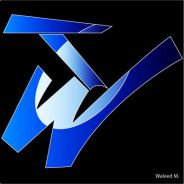 Walid - steam id 76561197961421760