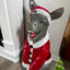 Dominick the Italian Xmas Donkey