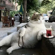 huielss avatarı