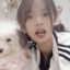 why.puppy