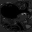 black yoshi