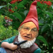 Gnome Chomsky