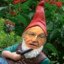 Gnome Chomsky