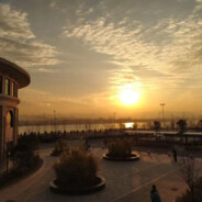 满山猴子我腚最红