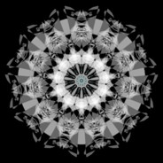 被窝里藏14只猫OvO