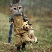 non terrea plus ultra