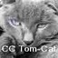[ACC] Tom-Cat