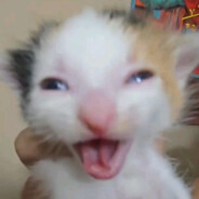 Styx avatar