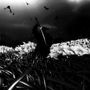 sans1 - steam id 76561199431168853