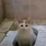 Bouclé