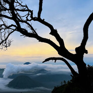 誰説馬鹿是笨蛋