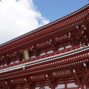 来个芒果