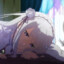 silva