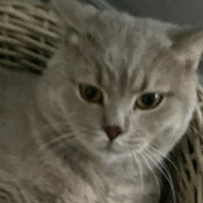 Старый - steam id 76561199090069076