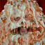 Pizza The Hutt