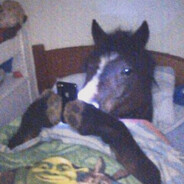 Ned