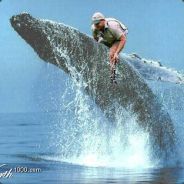 Gandelf Blue Balls - steam id 76561197961797789