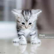 eu gosto disso porra fodase