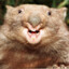 EdgarTheHappyWombat