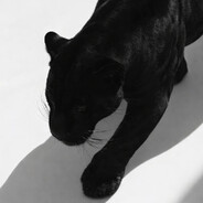 meow