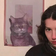 果冻黄桃miaumiau