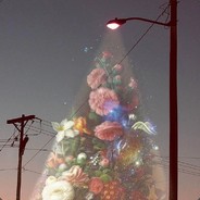 ROIN Steam avatar