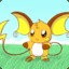 Raichu_lvl 83