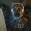 Avatar of player AmoR