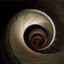 Spinx