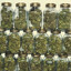 Gelato_33