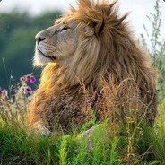 nbla avatar