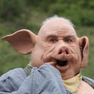 元气少女猪刚鬣