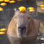 NiKu_CAPYBARA