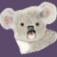 Just A Koala