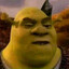 ㊄ Shrek&#039;s bladder