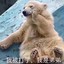 王木木