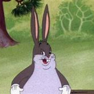 Macuquero