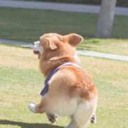 黑市也贩卖不了你的心