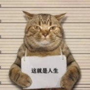 看到我野牛了吗