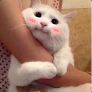 额滴神啊她是个女娃