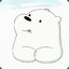 ice bear