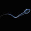 Infertile Sperm
