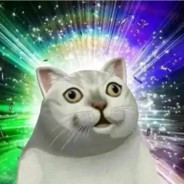 我是一隻可愛的貓