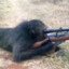 Sniper Monkey