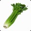 Sir Celery